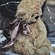 Teddy bear. Мишки Тедди. Teddy bears by Olga handmade xelga_grakova. Ярмарка Мастеров.  Фото №5