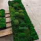 Панно из мха | картина из мха 150*50см. Панно. Green.Box. Ярмарка Мастеров.  Фото №5
