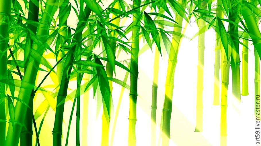 painting on canvas 'Bamboo', Pictures, St. Petersburg,  Фото №1