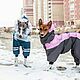 Одежда для собак. Зимний комбинезон для борзой. Уиппет. Одежда для питомцев. Зооателье 'Веселый хвост'. Ярмарка Мастеров.  Фото №4