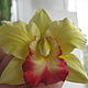 Зажим с орхидеей "Алая лента в желтом бархате". Заколки. Анна Медведева. Ярмарка Мастеров.  Фото №5