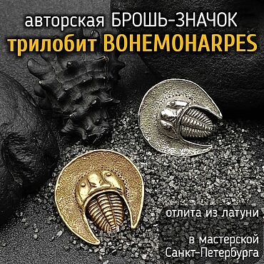 Украшения ручной работы. Ярмарка Мастеров - ручная работа Брошь-значок Трилобит Bohemoharpes. Handmade.