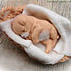 Заказать Мыло ручной работы "Щенок в корзинке". Soap Satisfaction. Ярмарка Мастеров. . Мыло Фото №3