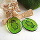 Transparent Earrings Resin Earrings Green Kiwi Earrings Fruit Earrings, Earrings, Taganrog,  Фото №1