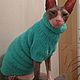 Plush sweater 'Cozy' for cats (various options). Pet clothes. anyapetrova05. Online shopping on My Livemaster.  Фото №2