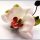 Заколка-брошь  "Белая орхидея".  Холодный фарфор, Заколки, Кривой Рог,  Фото №1