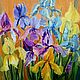 Painting 'Irises' oil on canvas, Pictures, Krasnodar,  Фото №1