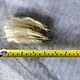 Merino, white. Felting materials. nzwool. My Livemaster. Фото №4