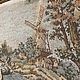 Винтаж: Гобелен винтажный со сценой охоты в раме. Мебель винтажная. ⚜️Антикварная⚜️винтажная мебель⚜️. Ярмарка Мастеров.  Фото №4