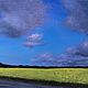 Oil painting blue yellow fields landscapes Siberia, Pictures, Novosibirsk,  Фото №1