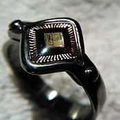 кольцо с микросхемой памяти (БИОС)