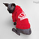 Мастер-класс по вязанию бесшовного свитера с вышивкой для котёнка. Мастер-классы. ClothesForCat. Ярмарка Мастеров.  Фото №6