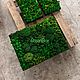 Фитопанно | Панно из мха 80*60см. Панно. Green.Box. Интернет-магазин Ярмарка Мастеров.  Фото №2