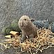 Капибара малыш. Мягкие игрушки. Игрушки добрые (Оксана). Ярмарка Мастеров.  Фото №8