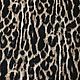 Пальтовая ткань рисунок "леопард", арт. 94п55-2, Ткани, Искитим,  Фото №1