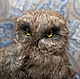 Owl (Sovon Archimedes). Stuffed Toys. Dilara. Online shopping on My Livemaster.  Фото №2