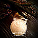 'Gifts of Mafava - 'Fifty kopecks', talisman coin, silver, Helper spirit, Koshehabl,  Фото №1
