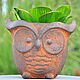Concrete planter owl with artificial succulent. Vases. Decor concrete Azov Garden. Online shopping on My Livemaster.  Фото №2