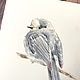 Order 'Gray' pencils, graphics (birds). Nadezda Perova. Livemaster. . Pictures Фото №3