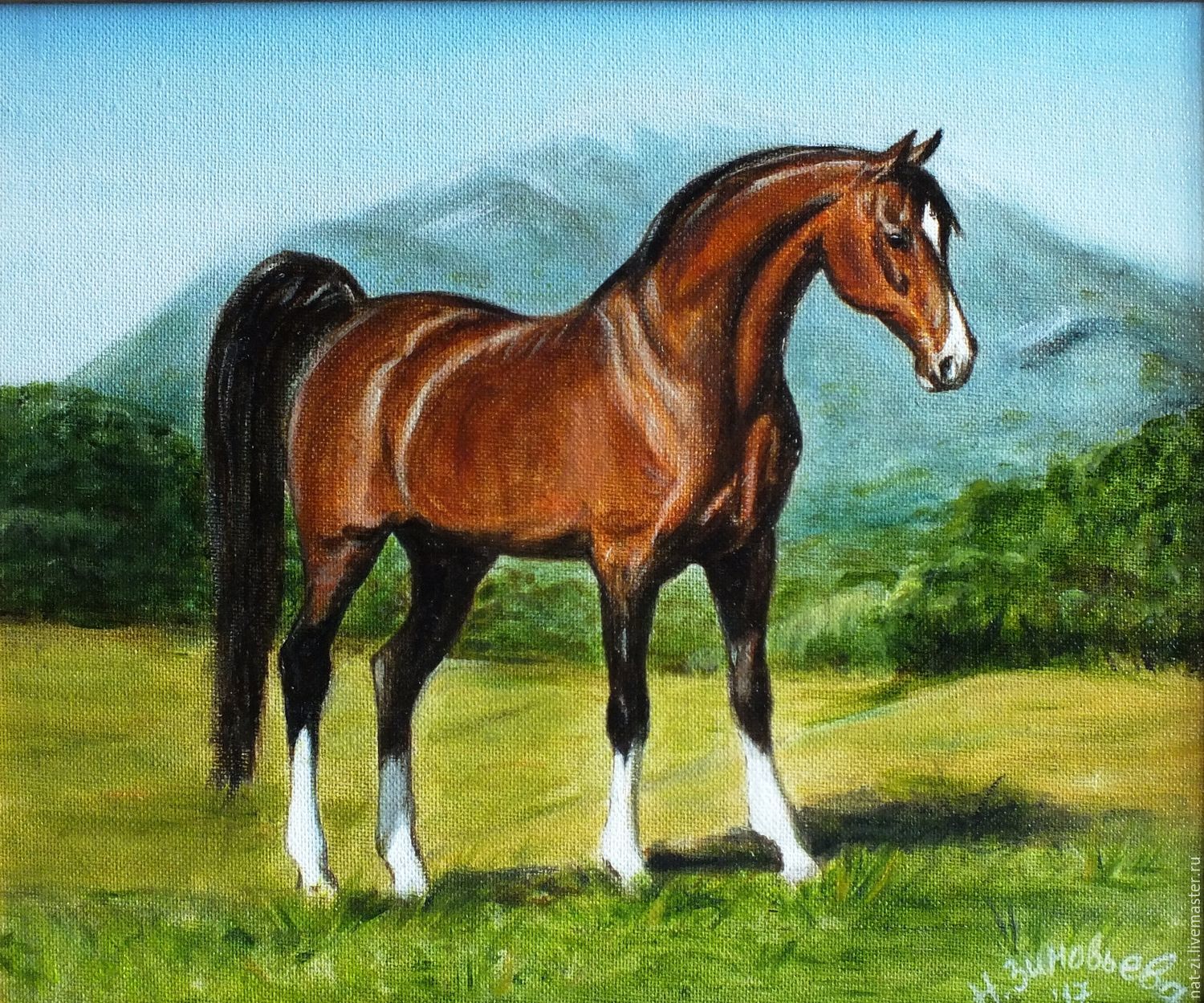 Написал лошадки. Лошадь маслом. Картины породистые лошади. Лошади арабские картина. Породы лошадей для детей.