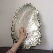 Дизайн и реклама handmade. Livemaster - original item Props: sea shells. Handmade.
