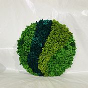Картины и панно handmade. Livemaster - original item Picture of stabilized moss 60 cm. Handmade.