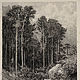 Винтаж: Авторский офорт И.И. Шишкина "Крымский вид (Ай-Петри)" . Картины винтажные. Мария/Антиквариат 'Великий город'. Ярмарка Мастеров.  Фото №4