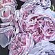 Картина маслом : Пионовидные розы. Картины. Art Impression | Anastasia Firsova. Ярмарка Мастеров.  Фото №6