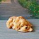 Soap Sleeping dog. Soap. Dushamila 5 (krasivoe-myllo). Online shopping on My Livemaster.  Фото №2