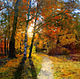 watercolour ` October-cold sun of autumn`
