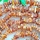 Amber. Beads 'Shield-5' amber long 2 m. Necklace. Frollena II. Natural Baltic amber. My Livemaster. Фото №6