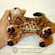 Boniface kitten, Bengal cat, cat - toy, felted out of wool. Felted Toy. Woolen Zoo. My Livemaster. Фото №6