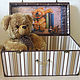 Заказать Сундук Teddy Bears. Сабина. Ярмарка Мастеров. . Комоды Фото №3