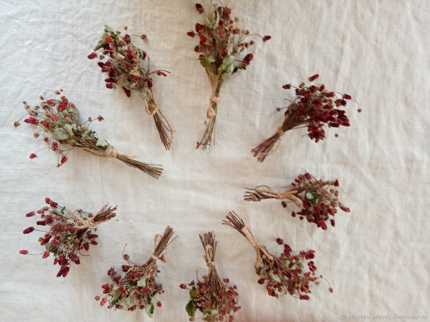 Как засушить веточку. Ветки с тычинками. Как засушить веточку. Сухоцветы для декора. Сухие цветы для декора.