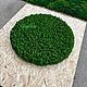 Круглое панно из мха. Фитокартины. Green.Box. Ярмарка Мастеров.  Фото №5