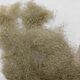 Cotonin flax fibers (cotton wool) natural 10 g. RUSSIA, Felting materials, Berdsk,  Фото №1