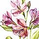 Alstroemeria. Pictures. Watercolor flowers by Ann (Asetrova). Online shopping on My Livemaster.  Фото №2
