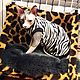 Clothing for cats 'Zebra'. Pet clothes. Happy-sphynx. Online shopping on My Livemaster.  Фото №2