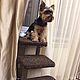 Order Stairs for cats and dogs up to the window. 2in1 scratching post and a ladder. buy. Workshop for dogs and cats. Livemaster. . Ladders, steps for animals Фото №3