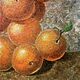 Мандариновая гора. Картины. Лейла. Картины маслом и акрилом (Leila-ART). Ярмарка Мастеров.  Фото №4