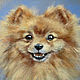Pastel Painting pastel 'Happy Spitz', Pictures, Moscow,  Фото №1