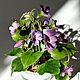 Forest violet. interior arrangement. Flowers. KG_flowers. Online shopping on My Livemaster.  Фото №2
