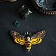 Brooch-pin: The moth 'Acherontia atropos' or ' deadhead», Brooches, Moscow,  Фото №1