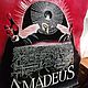 Заказать Картина на коже. Изделия из кожи. СКСтиль. AMADEUS. Студия Кожи Стиль (СКСтиль).. Ярмарка Мастеров. . Картины Фото №3
