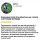 Коричневая теплая  бохо юбка бохо-шик в клетку с кисточками Шотландия. Юбки. ЮБКИ авторские ФЛАРИСА. Интернет-магазин Ярмарка Мастеров.  Фото №2