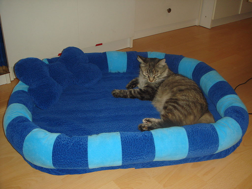 Уютная лежанка для кошки из остатков пряжи. Подробный МАСТЕР-КЛАСС