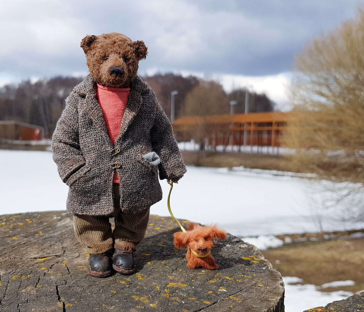 Медведь в куртке