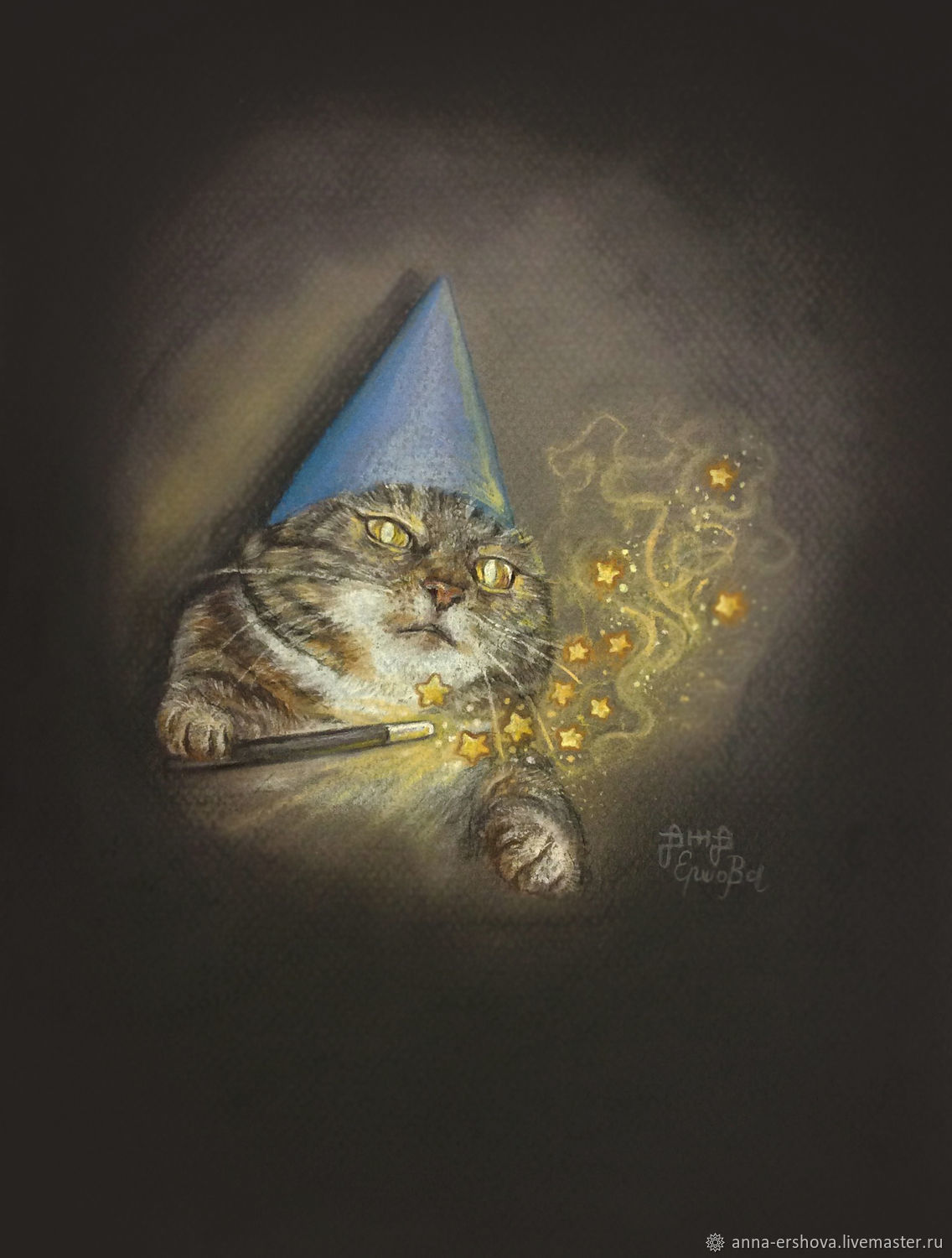 Кот волшебник