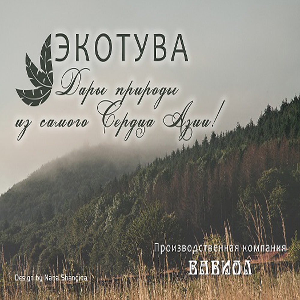 Мой профиль