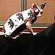 Clothing for cats 'Taiga', Pet clothes, Biisk,  Фото №1